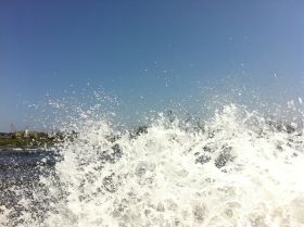 IMG_1630.JPG