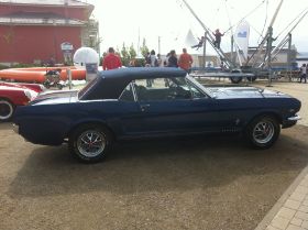 IMG_3006.JPG