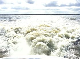 IMG_3567.JPG