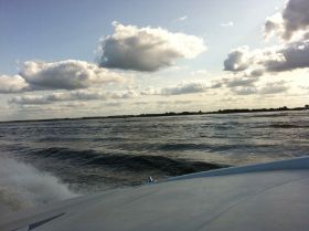 IMG_3611.JPG