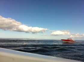 IMG_3614.JPG