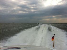 IMG_3648.JPG